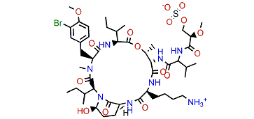 Jizanpeptin C